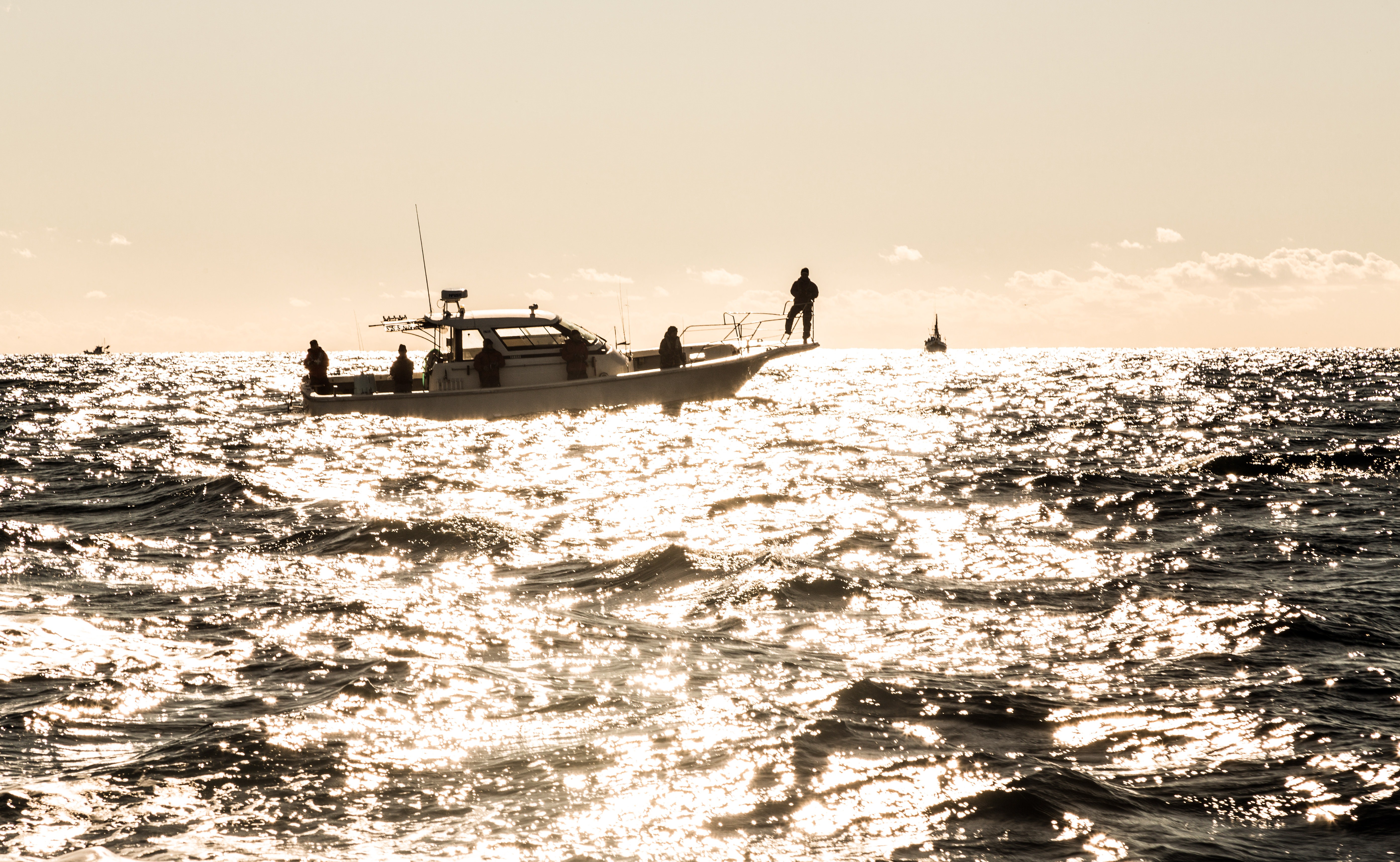 海の体験型アクティビティ