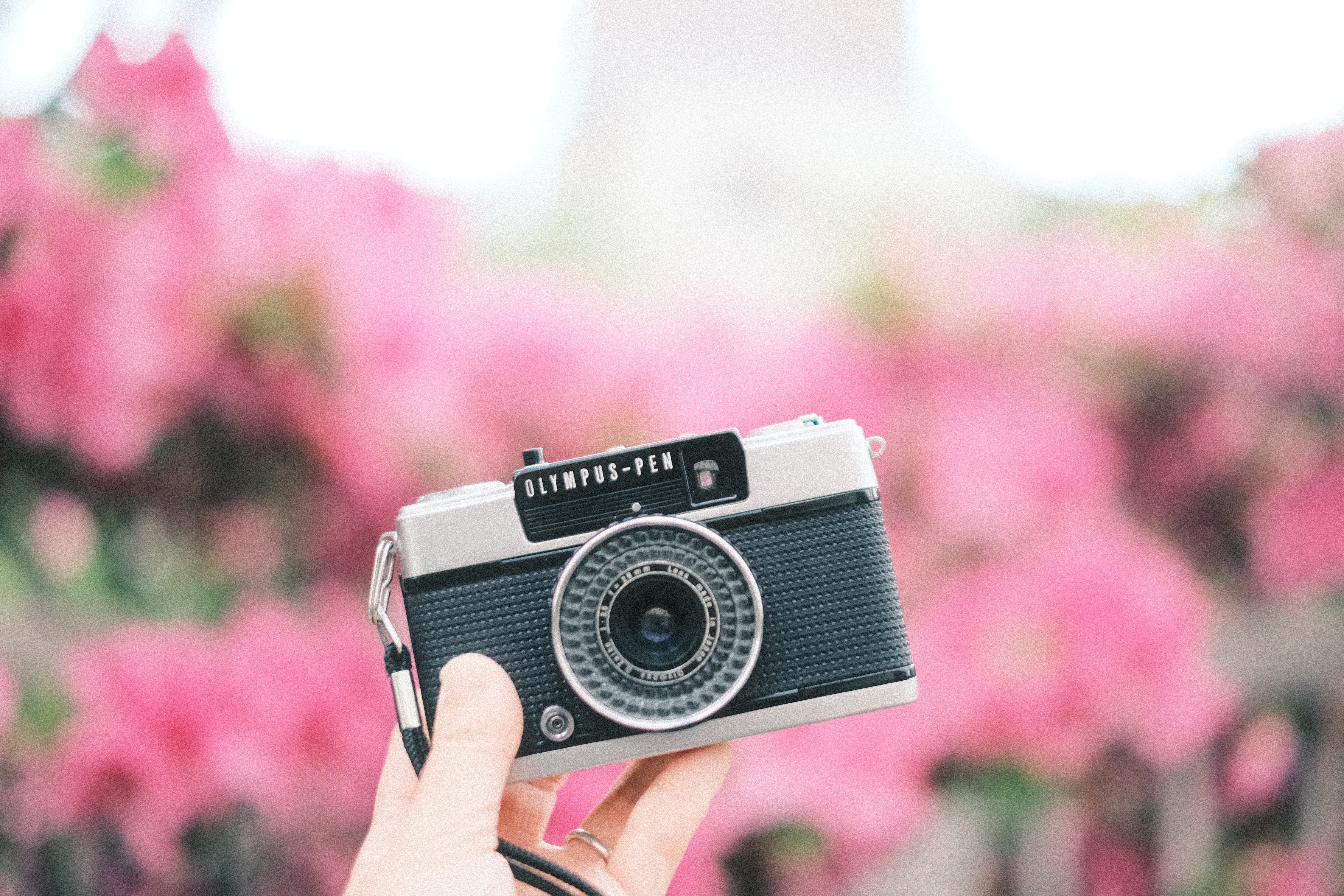 メモワール・チェキ・フォトジェニック